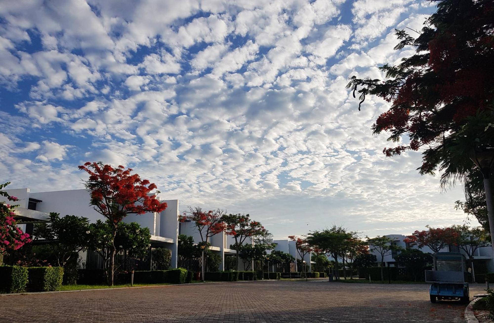 Oceanami Resort Sea View Long Hai Exterior photo